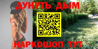 крисы Краснодар
