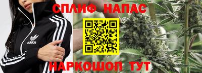 спиды Краснознаменск